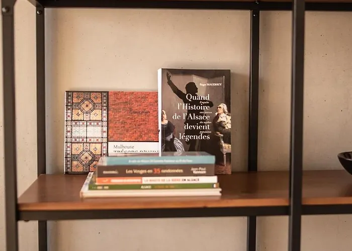 Luxury & Industrial - Amazing View Appartamento Mulhouse